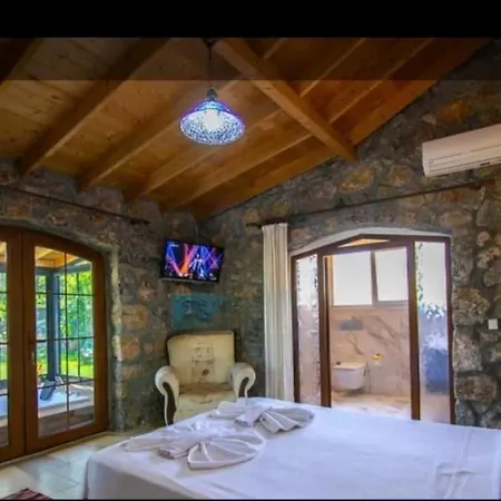 Pitzer 2 Fethiye
