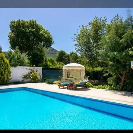 Villa Pitzer 2 *